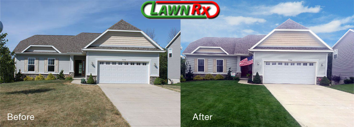before-after-lawn-care